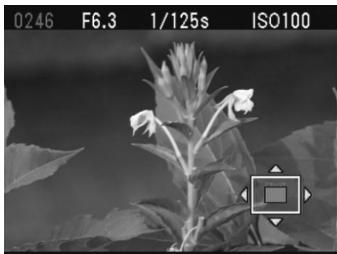 SIGMA SD14 - POUR AGRANDIR UNE IMAGE - 1