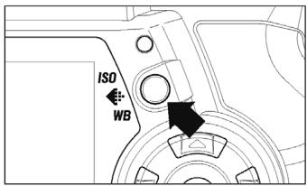 SIGMA SD14 - Format d'enregistrement des images - 1