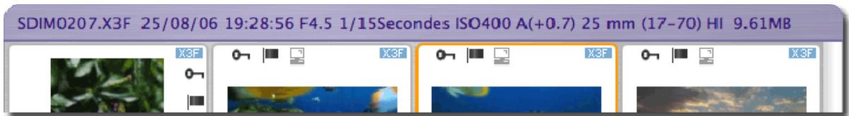 SIGMA PHOTO PRO - ACCES à l'info sur l'image - 1