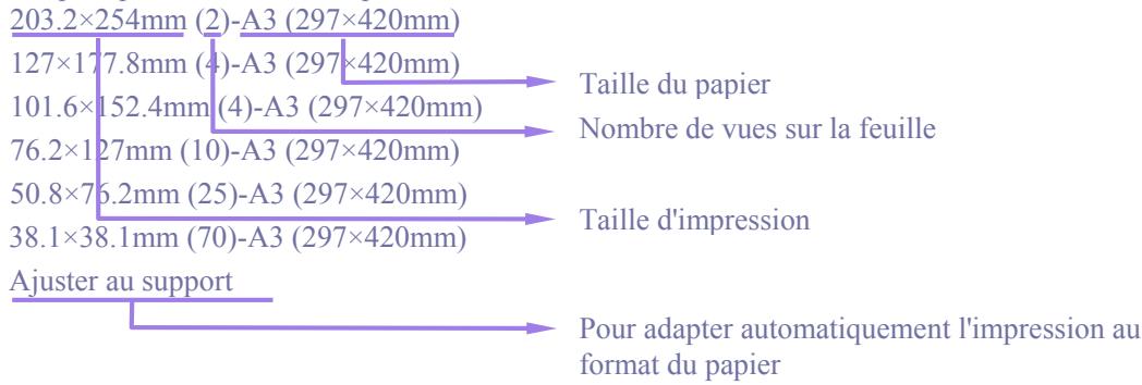 SIGMA PHOTO PRO - Taille d'impression - 1