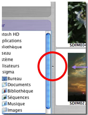 SIGMA PHOTO PRO 4.2 - Changer la taille de la fenêtre d'exploration ou de la fenêtre d'affichage. - 1