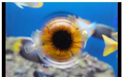 SIGMA PHOTO PRO 4.2 - Volée - 1