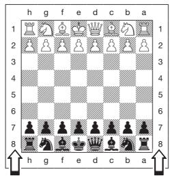 SAITEK EXPERT TRAVEL CHESS - SCHWARZ VON UNTEN SPIELEN? ACHTEN SIE AUF DIE GRUNDSTELLUNG - 1