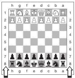 SAITEK EXPERT TRAVEL CHESS - Jouer les blanches depuis le haut (case G1) - 1