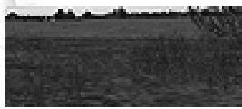 GAMES PC COMBAT MISSION 2 - Marais - 1