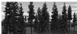 GAMES PC COMBAT MISSION 2 - Forêt - 1