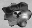 GAMES PC DUKE NUKEM 3D-ATOMIC EDITION - OBJETS de l'inventaire - 13