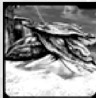 GAMES PC GROUND CONTROL II - Ecraseur Viron "Bull'gasaalh" - 1
