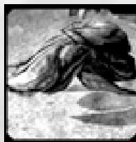 GAMES PC GROUND CONTROL II - Corrupteur Viron "Geom'raah" - 1