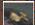 GAMES PC IMPERIAL GLORY - CONSTRUCTION ET RECRUTEMENT - 3