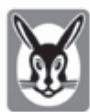 VAILLANT VKO 246-7 - Typeplaatje - 1