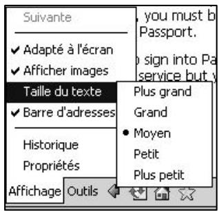 NAVMAN PIN 570 - Utilisation des pages Web - 6