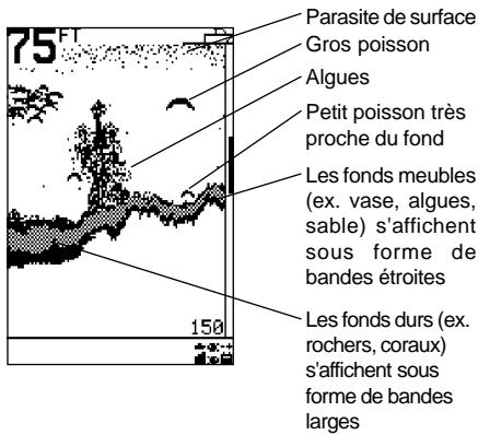 NAVMAN FISH 4150 - Arcs poisson - 3
