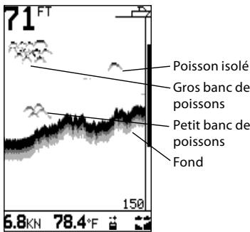 NAVMAN FISH 4331 - Arcs poisson - 2