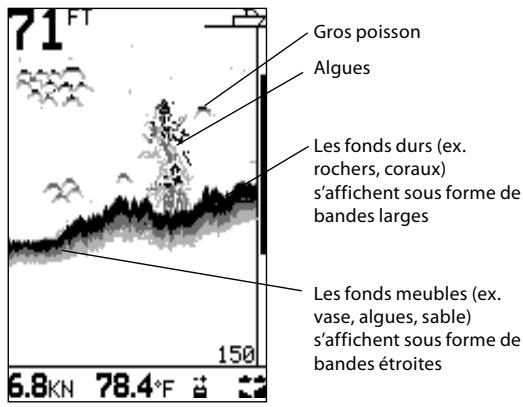 NAVMAN FISH 4331 - Intensité des échos - 1