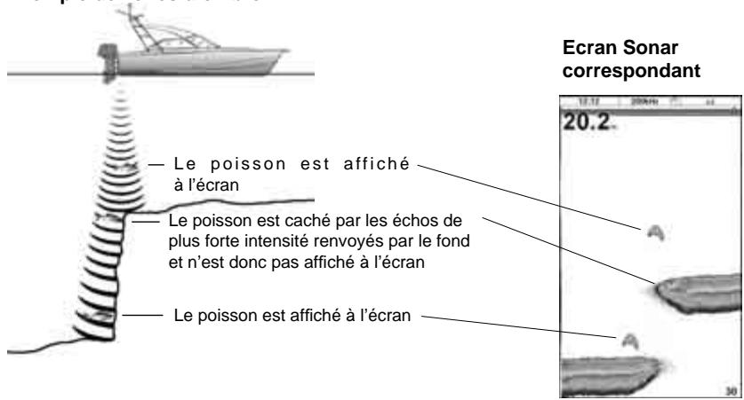 NAVMAN TRACKFISH 6600 - Exemple de zones d'ombre - 1