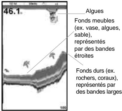 NAVMAN TRACKFISH 6600 - Intensité des échos - 1