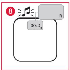 TERRAILLON FAMILY BODY CONTROL - B: MEDIDA E CLASSIFICAZAO DO IMC (ÍNICE DE MASSA CORPORA) - 8