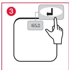 TERRAILLON FAMILY BODY CONTROL - B: CALCULATION AND CLASSIFICATION OF BMI - 3