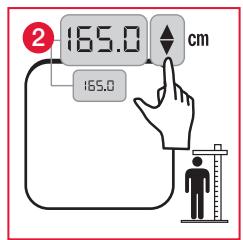TERRAILLON FAMILY BODY CONTROL - B : Mesure et classification de l'IMC - 2