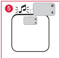 TERRAILLON FAMILY BODY CONTROL - C.1 De gegevens in het geheugen opslaan - 12