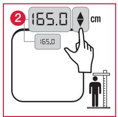 TERRAILLON FAMILY BODY CONTROL - B: MEDIDA Y CLASIFICACION DEL IMC (ÍNDCICE DE MASA CORPORAAL) - 2