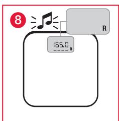 TERRAILLON FAMILY BODY CONTROL - B: CALCULATION AND CLASSIFICATION OF BMI - 8