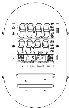 TERRAILLON TFA NAUTIC - ФУHKЦИОHAЛьнБIE KHONКI - 1