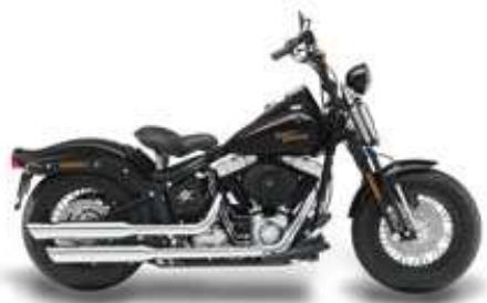 HARLEY-DAVIDSON SOFTAIL CROSS BONES - 1
