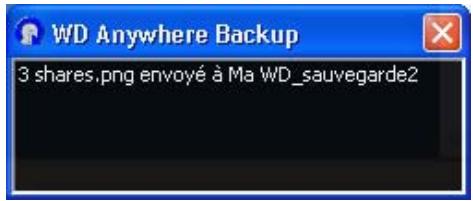 WESTERN DIGITAL WD SHARESPACE - Fin du plan de sauvegarde - 7