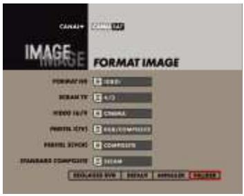 CANAL PLUS DUAL-S - FORMAT TV/STANDARD MAGNETOSCOPE - 1