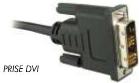 CANAL PLUS DUAL-S - RACCORDEMENT AU TELEVISEUR ET AU MATERIEL D'ENREGISTREMENT (DISQUE DUR EXTERNE OU GRAVEUR DVD DE SALON OU MAGNETOSCOPE) - 2