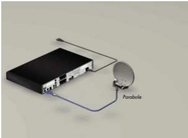 CANAL PLUS DUAL-S - CAS A : ANTENNE A SIMPLE LNB OU INSTALLATION COLLECTIVE - 1