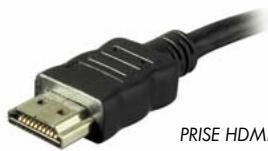 CANAL PLUS DECODEUR DUAL T - RACCORDEMENT AU TELEVISEUR ET AU MATERIEL D'ENREGISTREMENT (DISQUE DUR EXTERNE OU GRAVEUR DVD DE SALON OU MAGNETOSCOPE) - 1