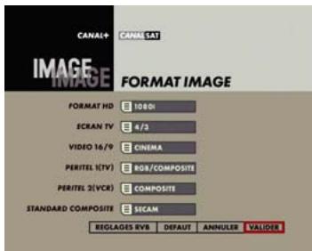 CANAL PLUS DECODEUR DUAL T - FORMAT TV/STANDARD MAGNETOSCOPE - 1
