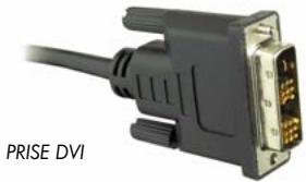 CANAL PLUS DECODEUR DUAL T - RACCORDEMENT AU TELEVISEUR ET AU MATERIEL D'ENREGISTREMENT (DISQUE DUR EXTERNE OU GRAVEUR DVD DE SALON OU MAGNETOSCOPE) - 2