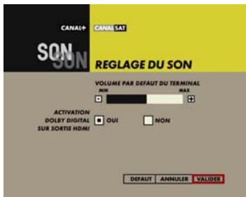 CANAL PLUS DECODEUR DUAL T - CONFORT AUDIO - 1