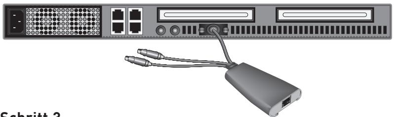 BELKIN OMNIVIEW SMB CAT5 KVM SWITCH - Anschluss der Server an den SMB-CAT5 KVM-Switch (PS/2-Verbindung): - 1