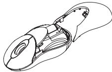 BELKIN SOURIS OPTIQUE MINI-WIRELESS #F8E825EAUSB - Inserimento dellepile - 2