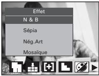 Effet N & B Sépia Nég.Art Mosaïque