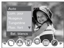 POLAROID I737 - -Réglage de la balance des blancs - 1
