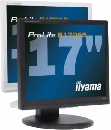 IIYAMA PROLITE B1706S-1 - 1