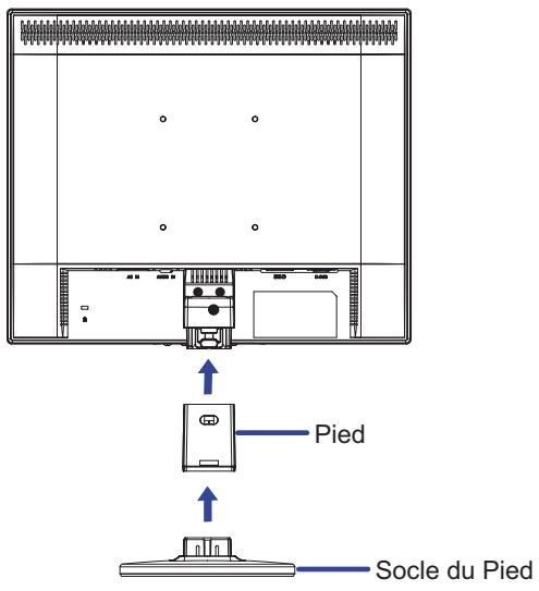 IIYAMA PROLITE E1906S - ATTENTION - 1