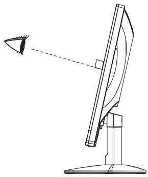 IIYAMA PROLITE E2710HDS - Ajustement de l'angle de VISION - 1