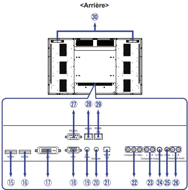 IIYAMA PROLITE T4260MTS - COMMANDES ET CONNECTEURS : MONITEUR - 5