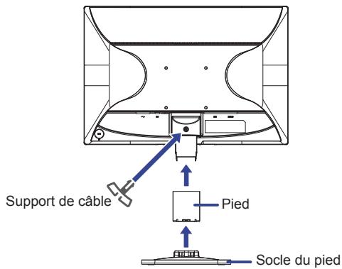 IIYAMA PROLITE B2280WSD - Attention - 1