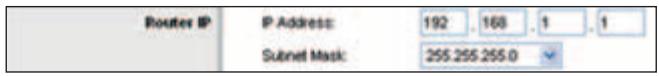 Router IP IP Address: 192 .168 .1 .1 Subnet Mask: 255.255.255.0