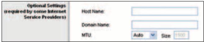 Optional Settings (required by some Internet Service Providers) Host Name: Domain Name: MTU Auto Size: 100