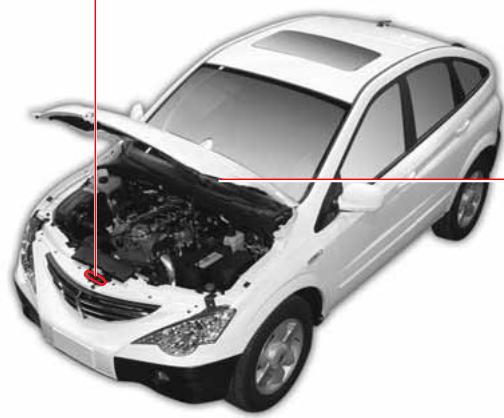 SSANGYONG ACTYON - AVERTISSEMENT - 1