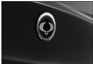 SSANGYONG ACTYON SPORTS - DISPOSITIFS D'OUVERTURE ET DE FERMETURE - 2